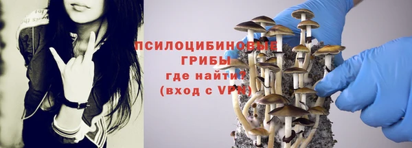 стафф Балабаново