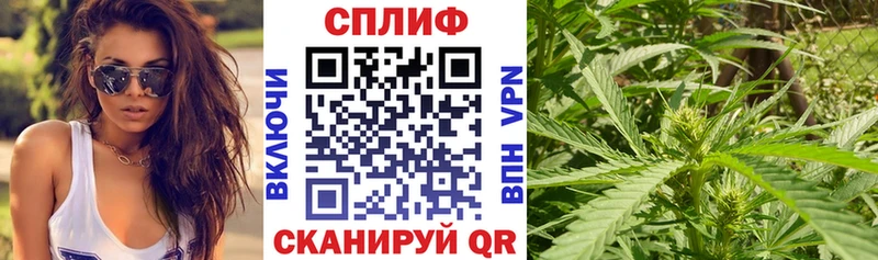 Шишки марихуана AK-47  mega как войти  Верхняя Тура 